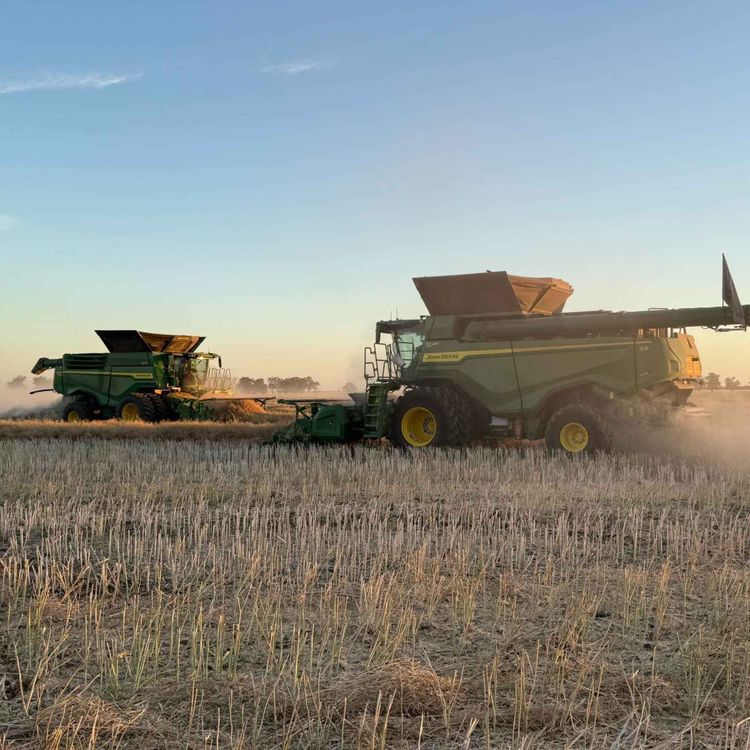 cover art for Ep. 1 Harvester setups- cutting through the black magic of combines!