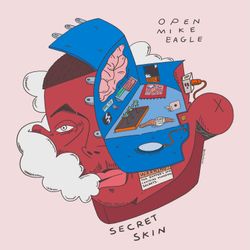 cover art for Secret Skin