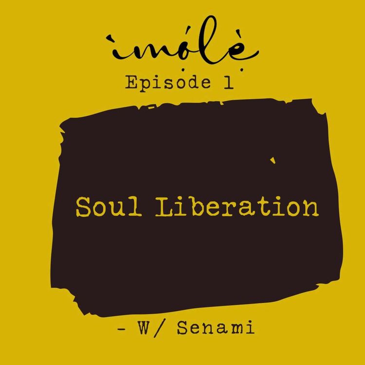 cover art for Soul Liberation: Navigating a unique spiritual odyssey