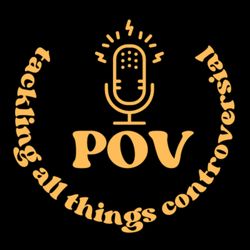 cover art for POV