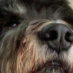 cover art for Hot Topics, Hot Takes