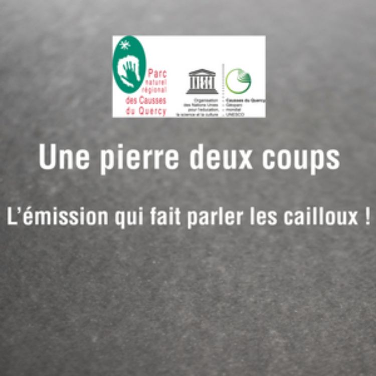 cover art for la Réserve Nationale Géologique du Lot (2ème partie)