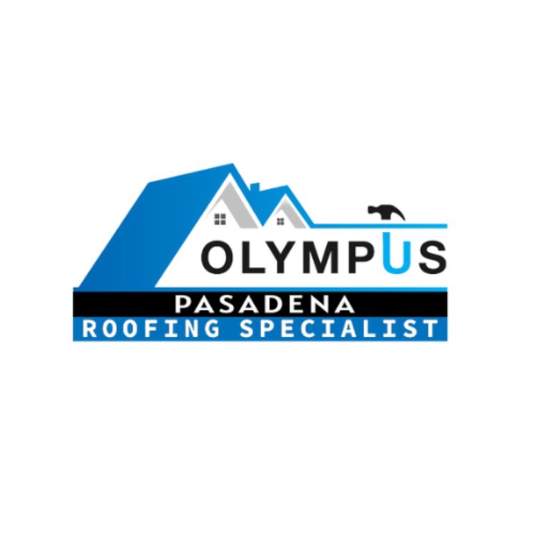cover art for Multi-Styled Roofing Solutions From Best Roofing Experts