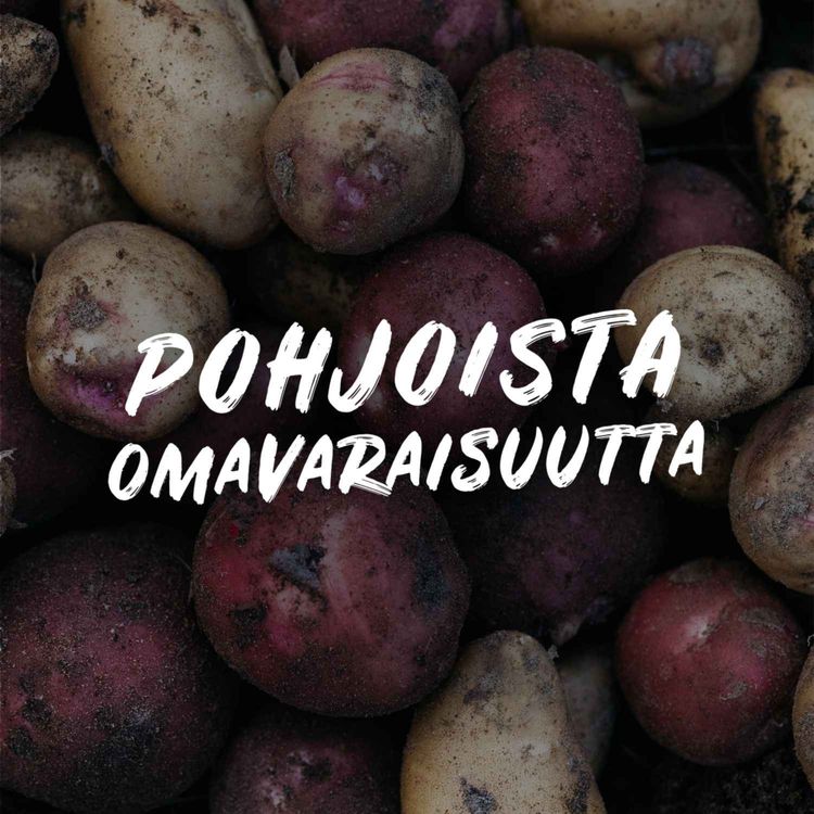 cover art for Pohjoisen omavaraisuuden lyhyt oppimäärä