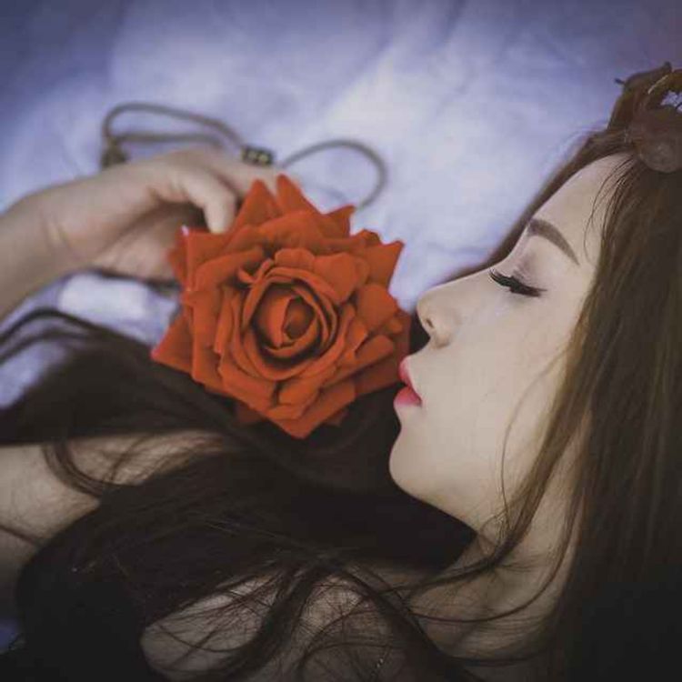 cover art for Fog and Apple