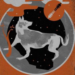 cover art for Distant Stations - A Podcast About The Mountain Goats