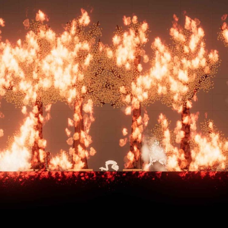 cover art for interviewing flower pot