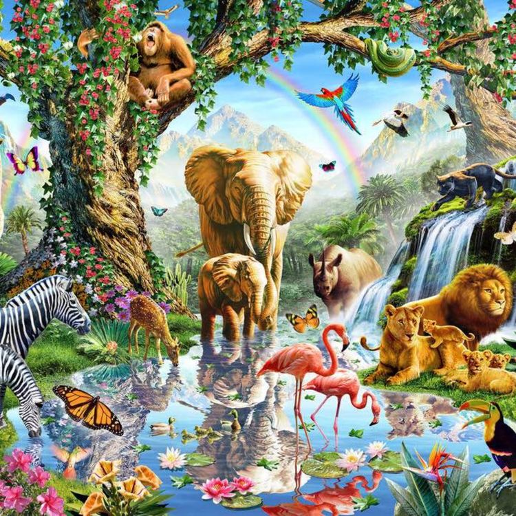 cover art for Sea Turtles 