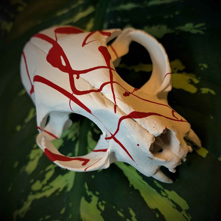 cover art for 2: The unsolved cases of Erin Tilley & Dylan McGillis