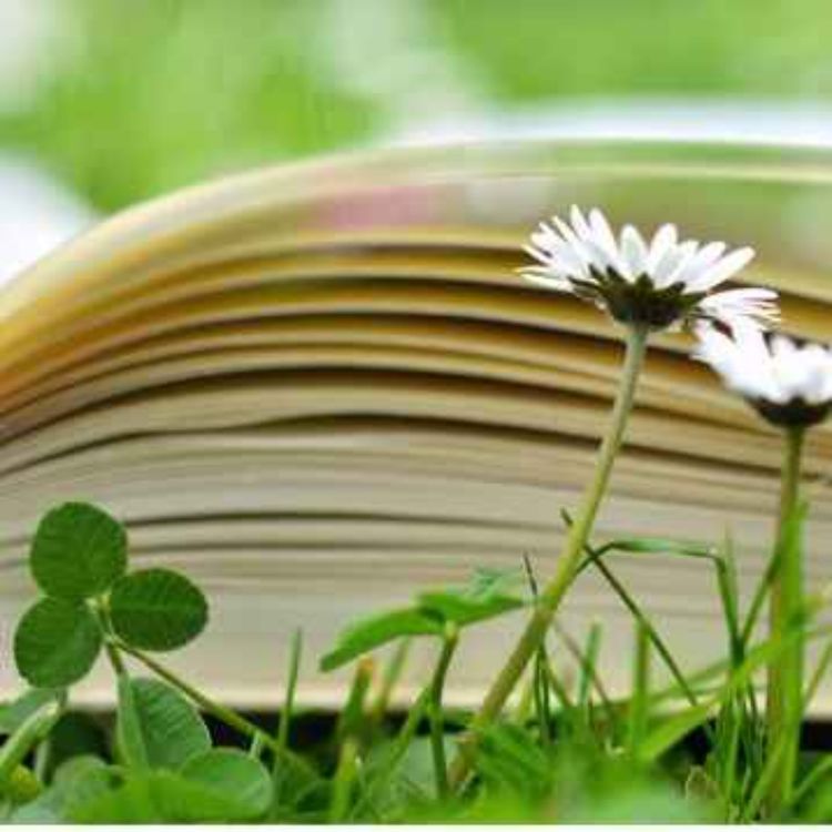 cover art for My Favourite Books with Amanda