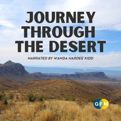 cover art for Journey Through the Desert