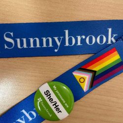 cover art for 2SLGBTQ+ Pregnancy Care