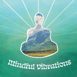 cover art for Mindful Vibrations
