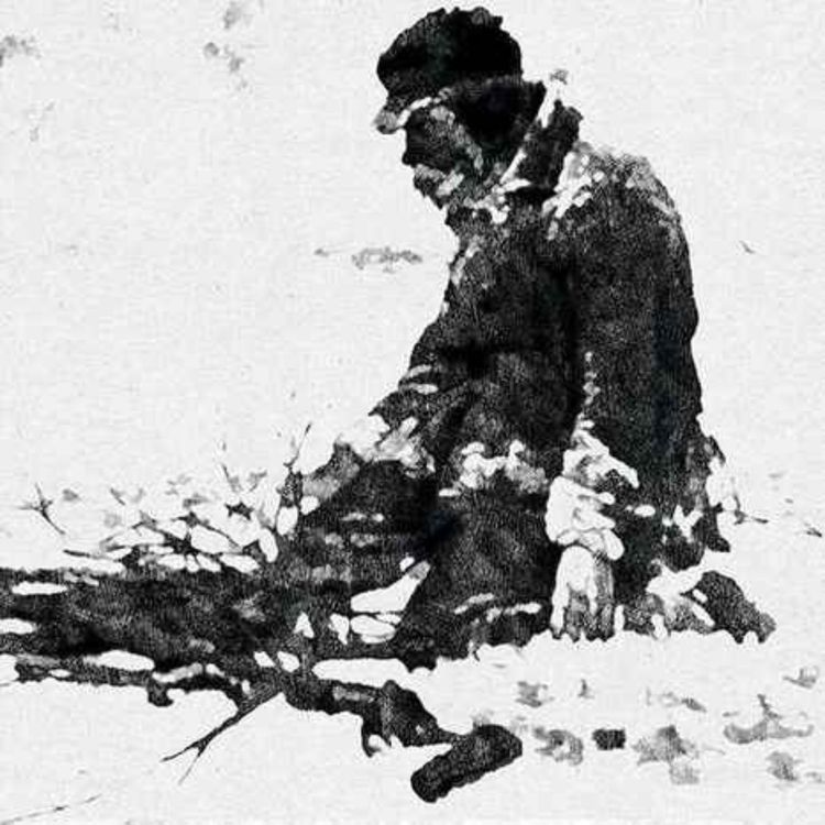 cover art for Un món Buit