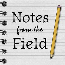 cover art for Notes From The Field