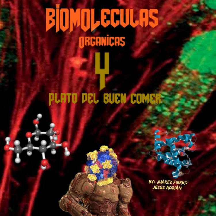 cover art for Biomoléculas orgánicas y plato del buen comer 