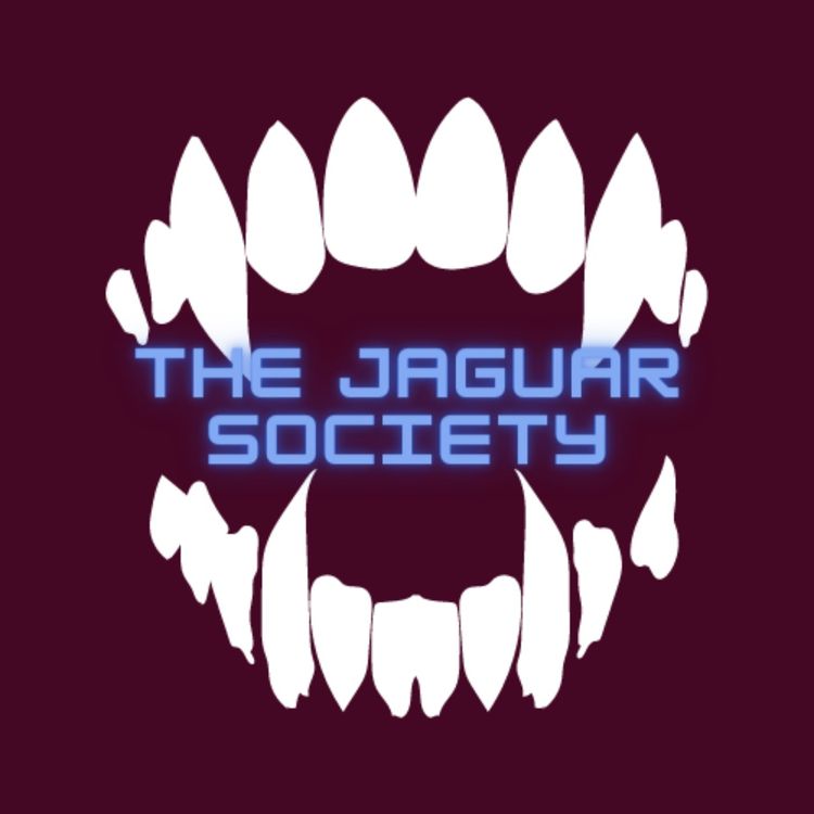 cover art for Irish twins and back to back kids