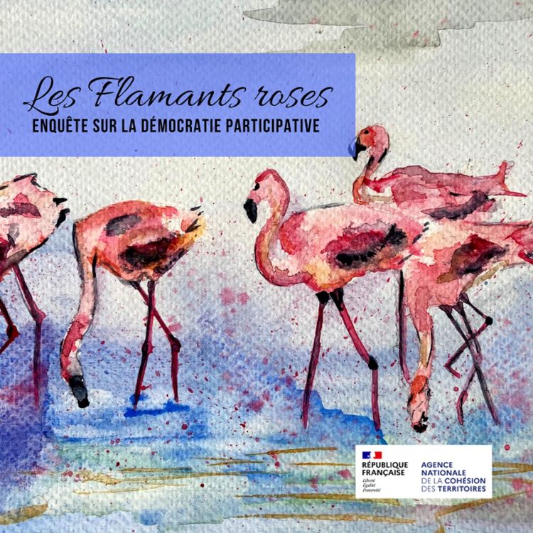 cover art for Episode 5 - Restitution : lire et donner à voir les retours d'enquête