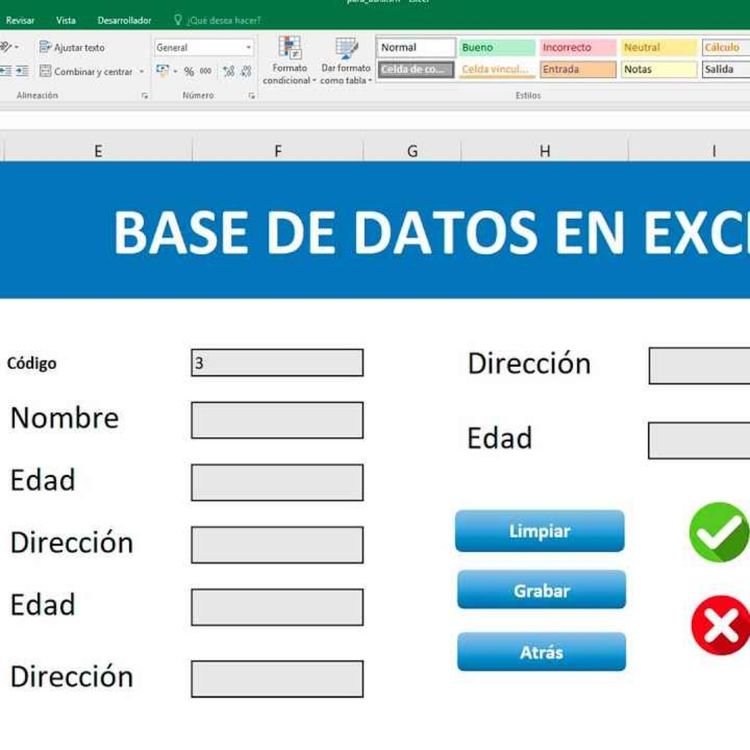 cover art for Base de Datos en Excel p