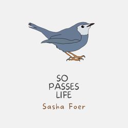cover art for So Passes Life