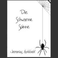 cover art for Die schwarze Spinne (Hörbuch)