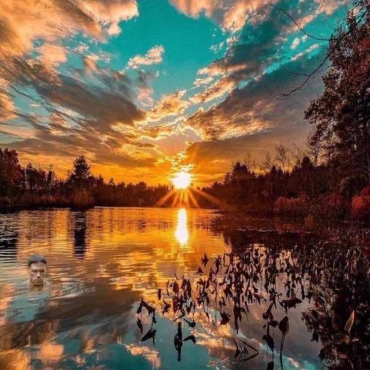 cover art for Never Ready To Let Go