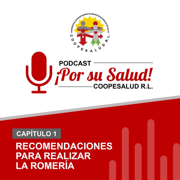 cover art for Recomendaciones para realizar la Romería
