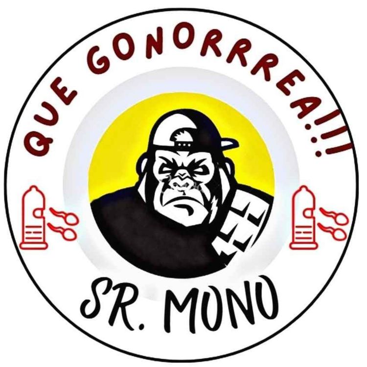 cover art for Que gonorrea!! Sr.mono.