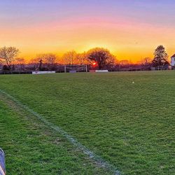 cover art for The Magpies and The Phoenix