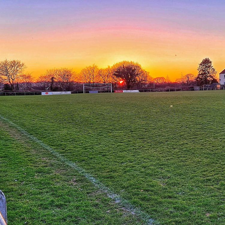 cover art for A Hesitant Start