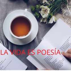 cover art for LA VIDA ES POESÍA