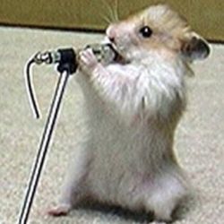 cover art for El no silencio