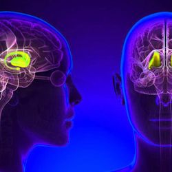 cover art for Grupo 1 - Relación entre los neurotransmisores, las emociones y el aprendizaje