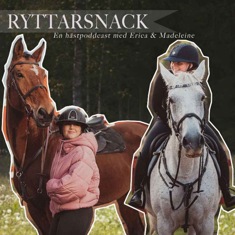 cover art for Ny häst & träningsdebut