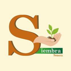 cover art for Siembra Sonora