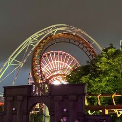 cover art for Cronicas de una gata mensa