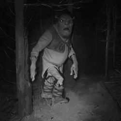 cover art for Edgar Gerlach's