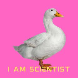 cover art for I am Scientist
