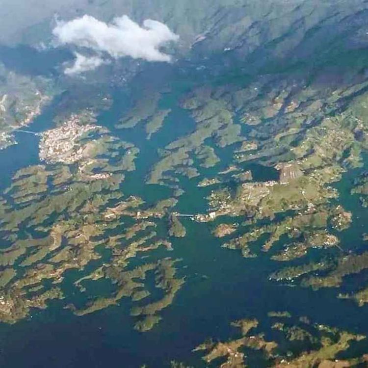 cover art for Title trailer