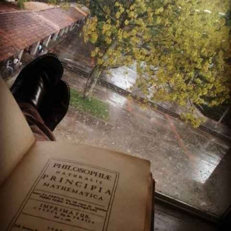 cover art for Audiolibro: Las medias de los flamencos — Horacio Quiroga