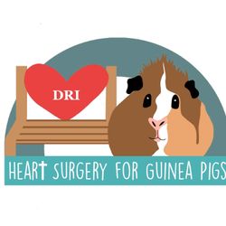 cover art for Heart Surgery for Guinea Pigs