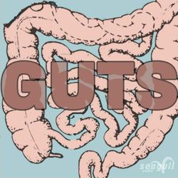 cover art for GUTS