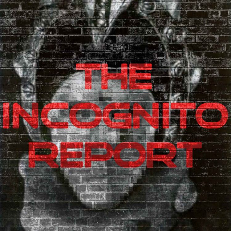 cover art for No Red Tsunami, Midterm Elections, Veterans Day 2022