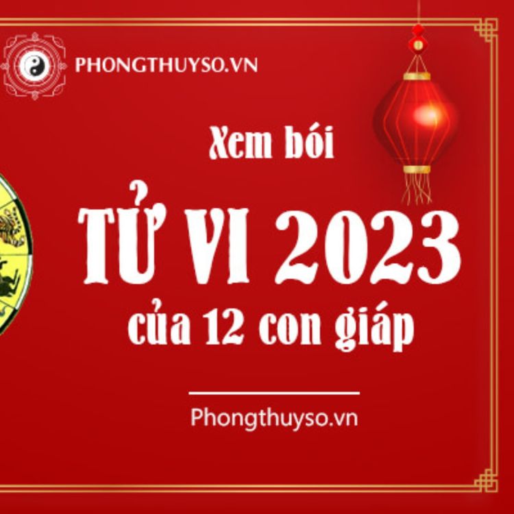 cover art for Tử vi 2023 tuổi Quý Hợi nam mạng