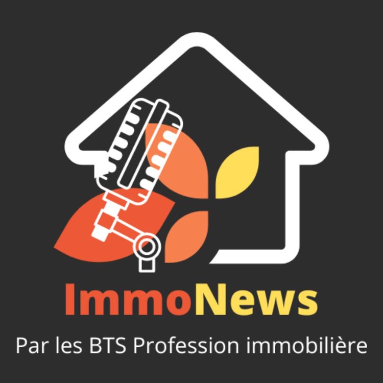 cover art for Vente des logements neuf