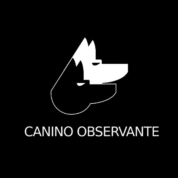 cover art for La Influencia en los Sonidos de los centros y las Periferias.