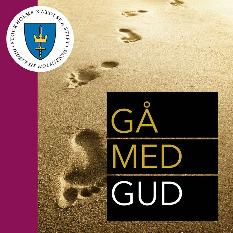 cover art for Dag 17 - Med Jesus i båten