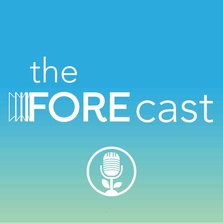 cover art for B Corp Month special: Using your purpose as your superpower