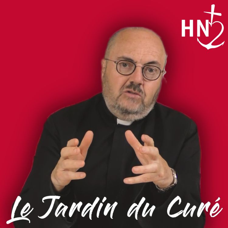 cover art for Qui est Saint Léon le Grand ?