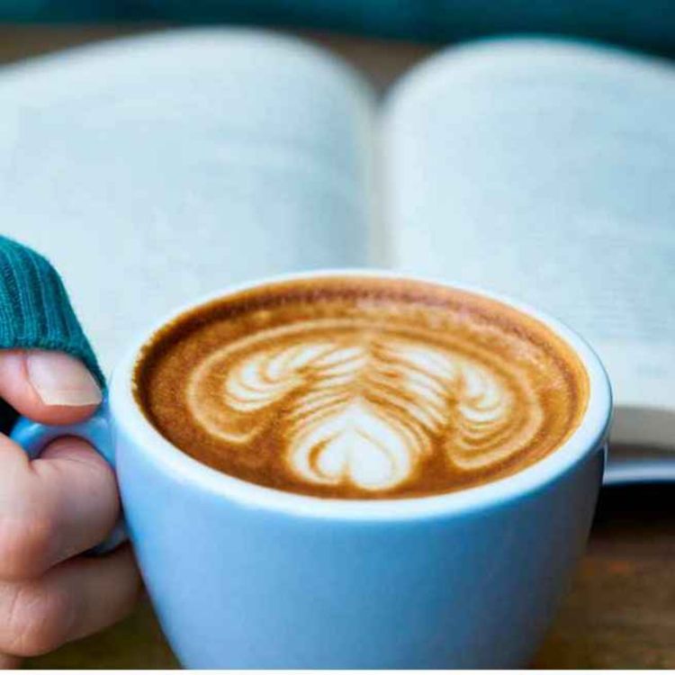 cover art for Anaconda (5)